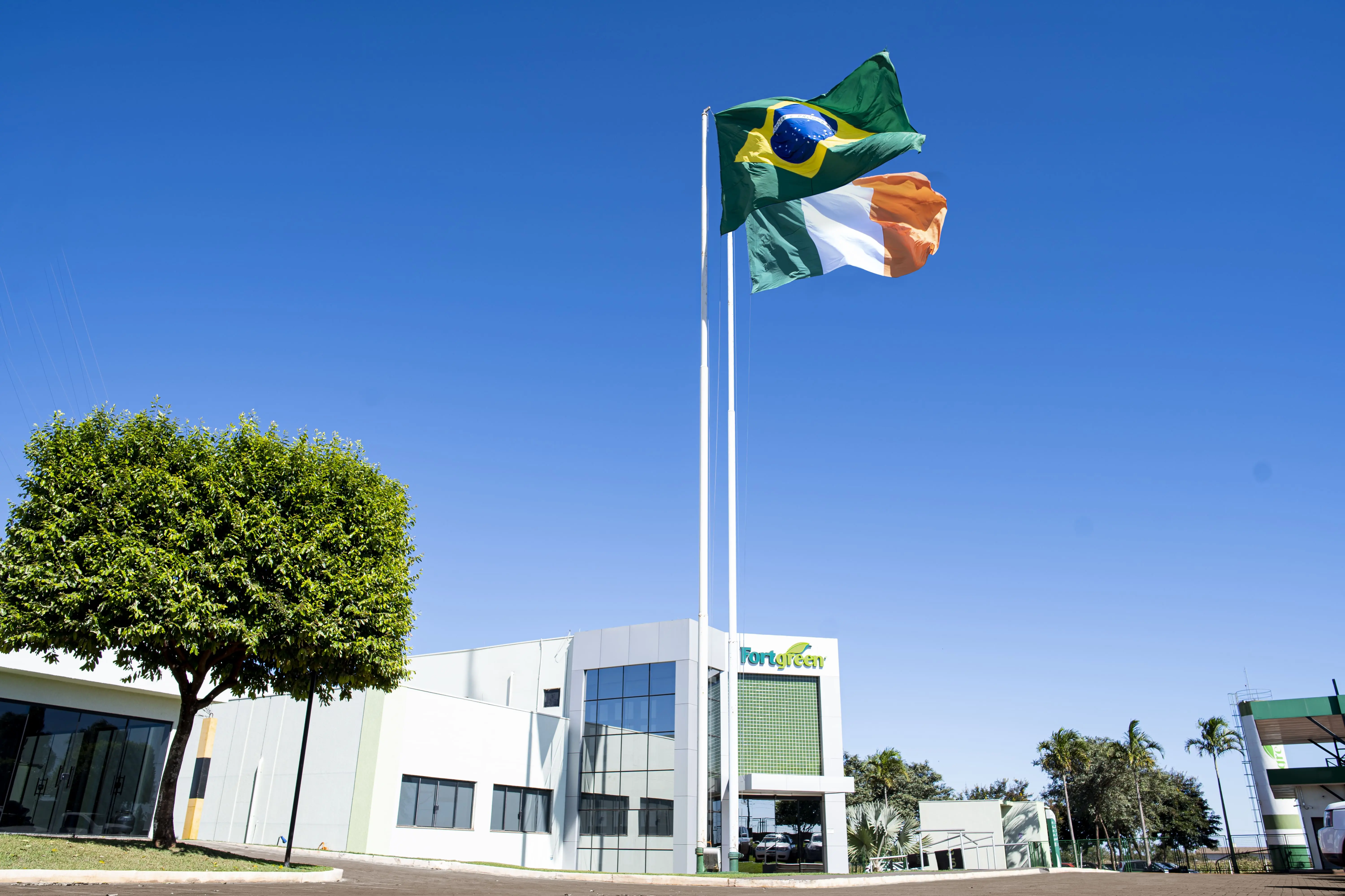Diagnóstico de solo no campo